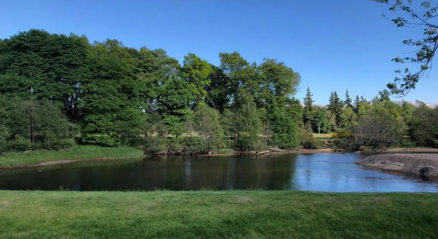 81 The Heathers, Aviemore Holiday Park , Dalfaber rd Aviemore PH22 1PX
