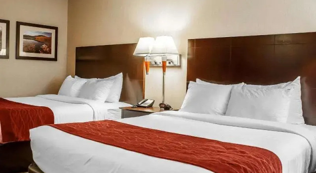 Шестиместный номер Standard Comfort Inn & Suites Watertown - 1000 Islands