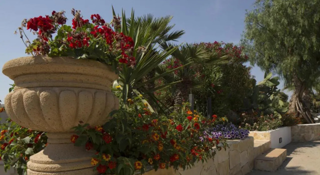 Одноместный номер Standard Villa Carlo Resort