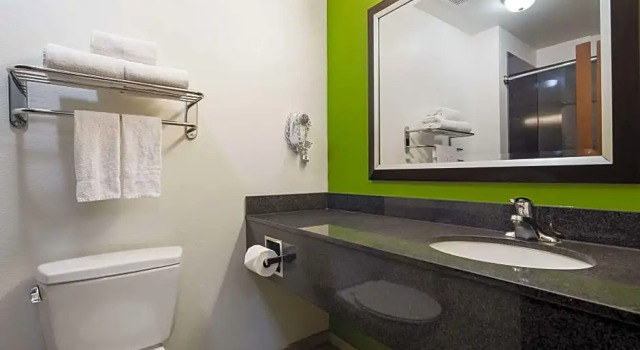 Двухместный люкс Deluxe Best Western Douglas Inn & Suites