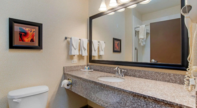 Четырёхместный люкс Comfort Suites Alexandria North