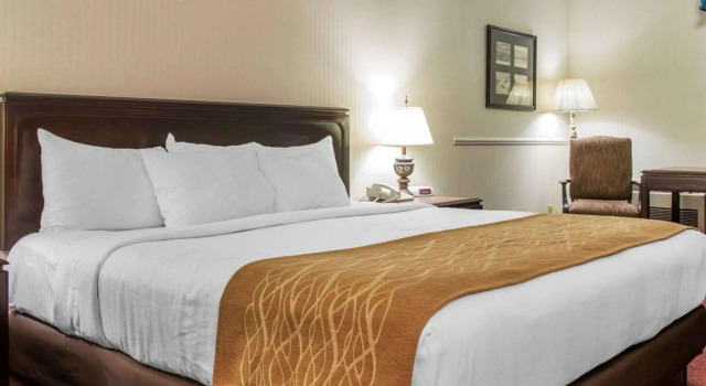 Двухместный номер Standard Comfort Inn Lakeside