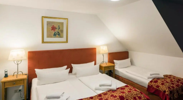 Апартаменты Apparthotel Bad Schandau by STEIGER Hotels