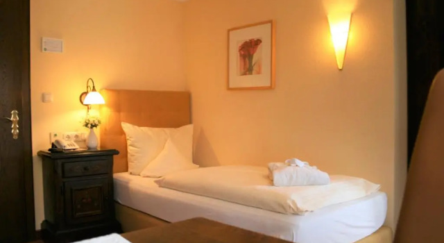 Одноместный номер Economy Hotel Allgäuer Hof