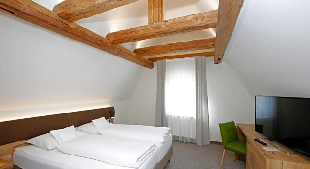 Номер Premium ApartHotel Rose Ellwangen