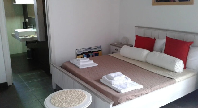 Двухместный номер Standard с видом на сад Apollonion Country House