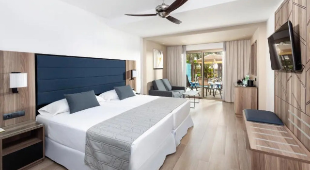 Двухместный номер Hotel Riu Palace Oasis