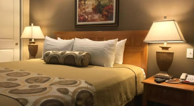 Апартаменты The Oasis Resort