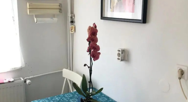 Grig Apartament