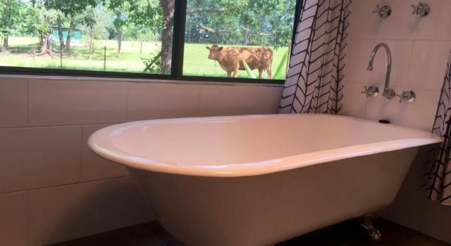 Бунгало Deluxe c 1 комнатой с видом на сад Blackwattle Farm B&B and Farm Stay