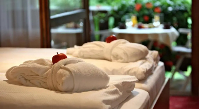 Двухместный номер Standard AktiVital Hotel