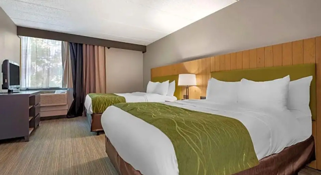 Четырёхместный люкс Executive Comfort Inn & Suites Liverpool - Syracuse North