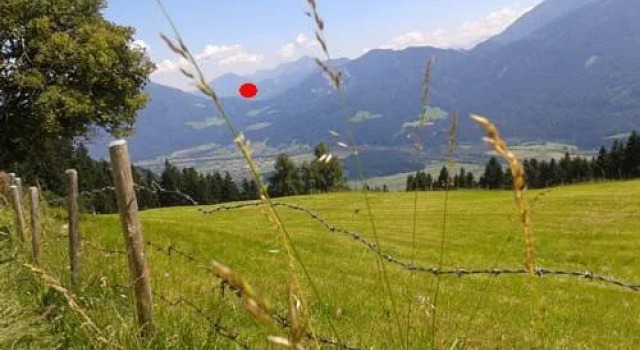 Schadnbauer, Book Hotel Dellach im Drautal Nassfeld