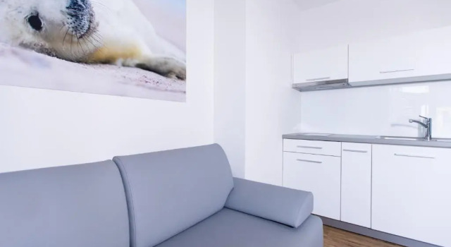 Апартаменты Дуплекс Apartamenty Villa Baltica Rewal - jacuzzi na dachu, wi-fi, parking w cenie