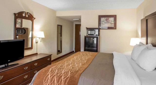 Двухместный номер Standard Comfort Inn & Suites Spartanburg North