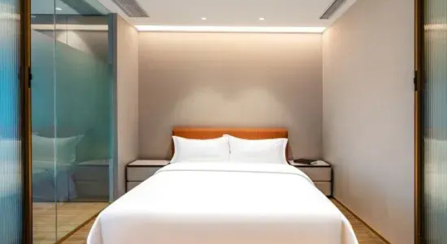 Люкс Business Weisheng Hotel (Dafangyun Performing Arts Center · Global Center Branch