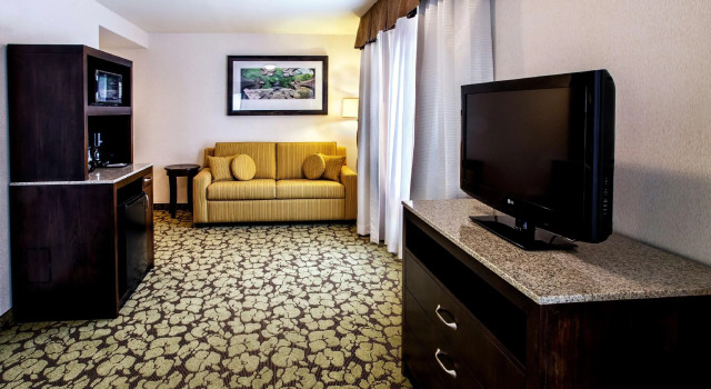 Двухместный люкс Corner c 1 комнатой Hilton Garden Inn New York / Staten Island