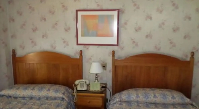 Трёхместный номер Standard Hotel Foresta