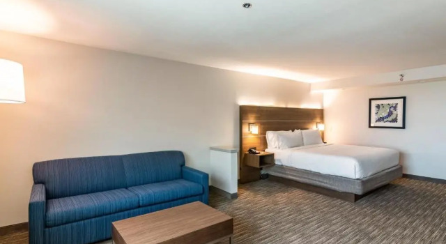 Люкс Holiday Inn Express & Suites Camarillo by IHG
