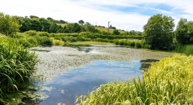 Ta Mill Holiday Cottages & Lodges -Ta Mill House, Rezervasyon Otel Merseyside otoparklı oteller, Otopark
