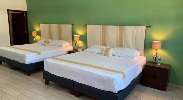 Standardowy czteroosobowy pokój Nueve Agaves Hotel