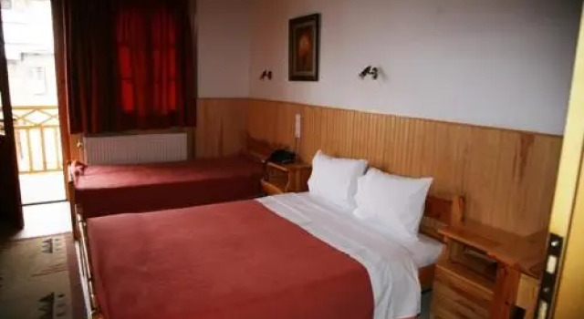 Apostolos Hotel, Rezerwuj Hotel Metsovo 
