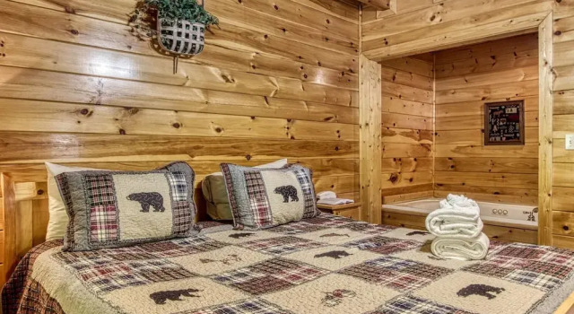 ER227 - Bearry Nice Great Location - Close To Town! 1 Bedroom Cabin by RedAwning