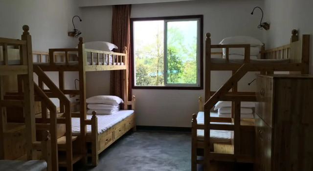 Zoo Courtyard Hostel