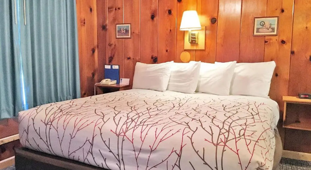 Двухместный номер Standard Park Motel and Cabins