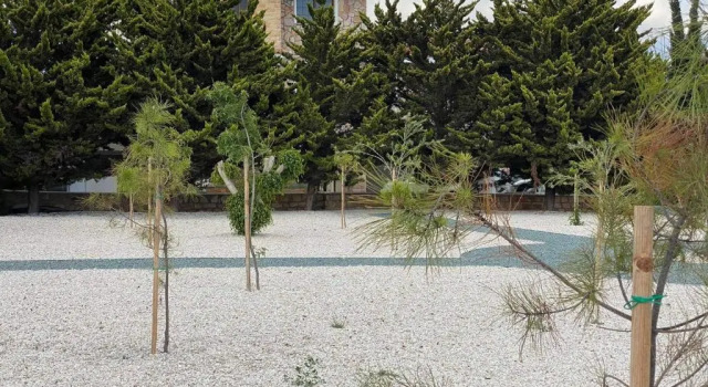 Villa 6 camere Villa Kapistris Dyo