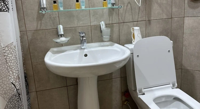 Номер Standard villa old sololaki