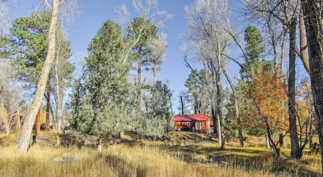 Коттедж c 1 комнатой Cozy Colorado Cabin w/ Deck, Grill & River Access!