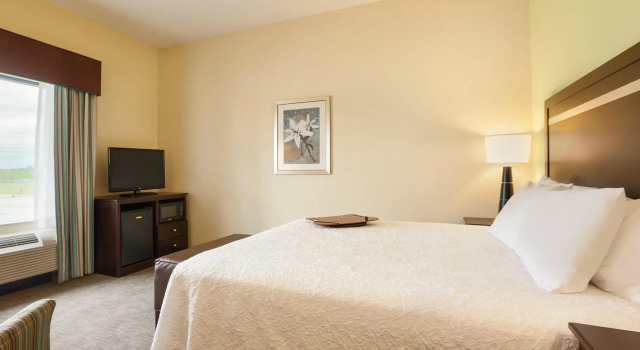 Двухместный номер Standard Hampton Inn Belton/Kansas City area