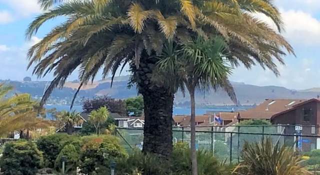Студия Standard Lakeland Resort Taupo
