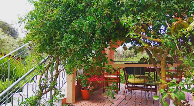 Kefalonia apartments - 2 bedroom apartment in orchard, cute veranda, ground floor