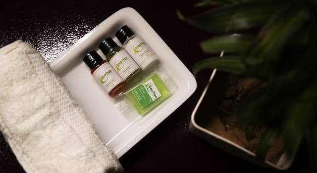 Студия Deluxe Lime Tree Luxury Studio