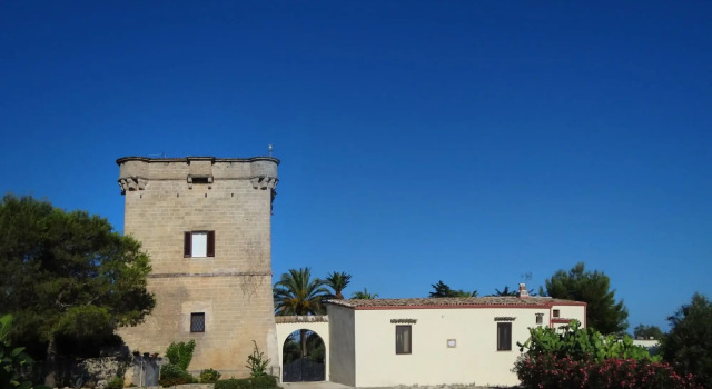 Torre Mammalia