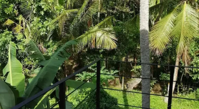 Номер Standard Colombo Airport Field View Villa