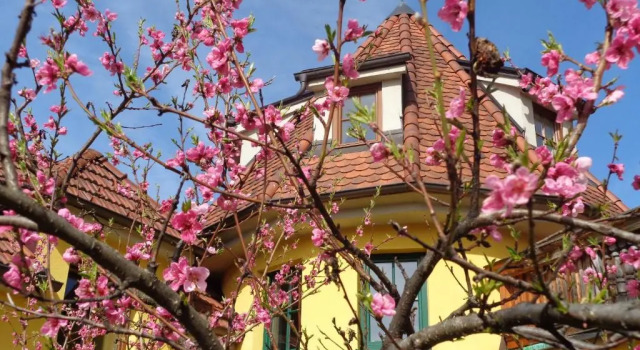 Pension Himmelreich