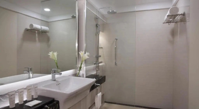 Junior suite doppia con vista sulla città Radisson Medan