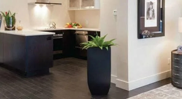 Suite 76, Varaa Hotelli Waterloo 