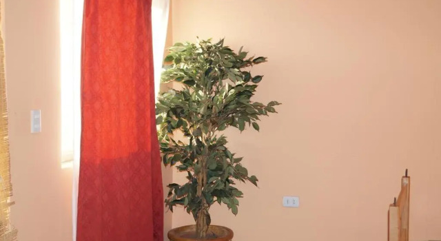 Номер Economy Hostal Intipara