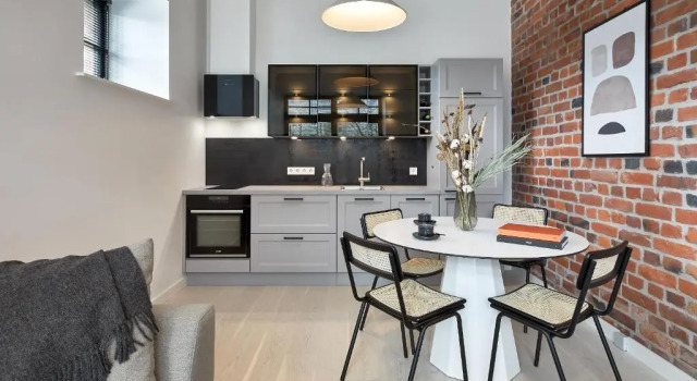 High ceiling loft with its own backyard and a terrace