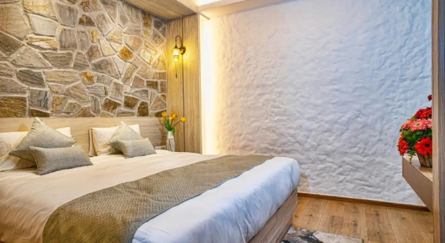Номер Executive Arushi Boutique Hotel