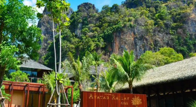 Кровать в общем номере Avatar Railay-Adults Only
