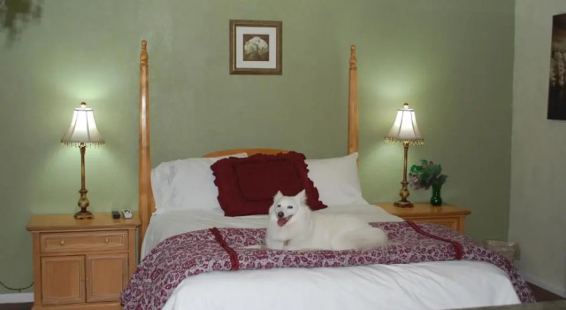 Двухместный номер Olancha RV Park and Motel