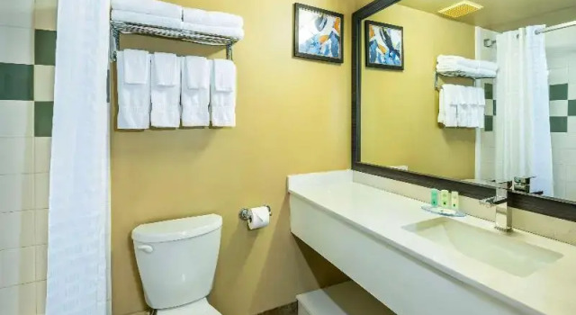 Номер Standard Quality Inn & Suites