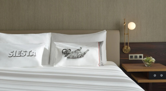 Двухместный номер с террасой Gran Via View Отель Hyatt Centric Gran Via Madrid