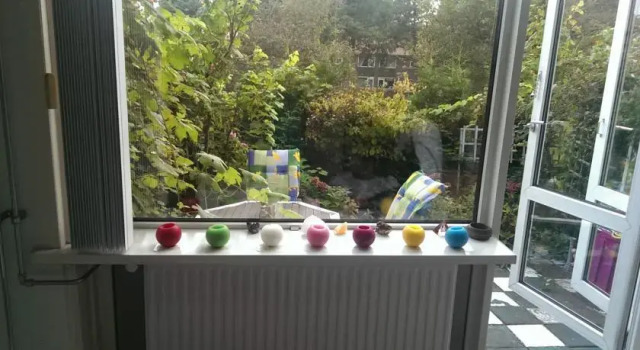 Roses Garden