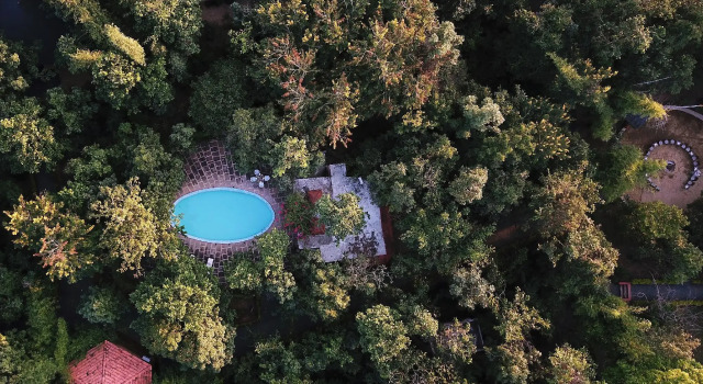 Номер Standard Pench Jungle Camp